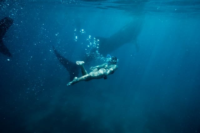 Woman scuba diving 