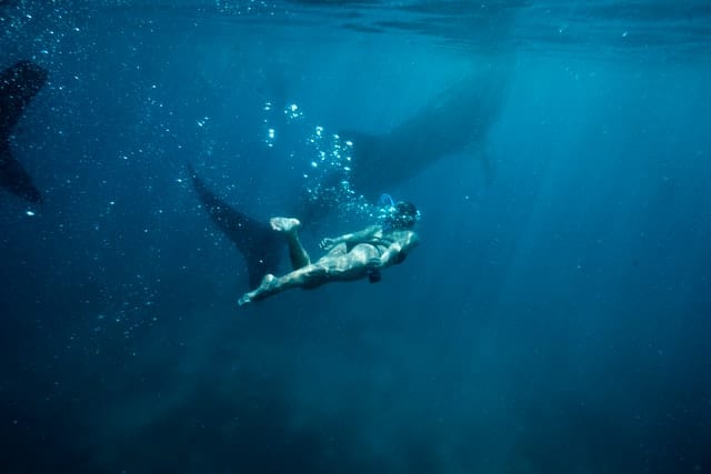 Woman scuba diving