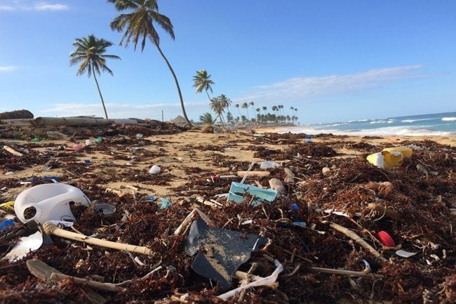 Beach covered in plastic litter
