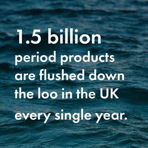 1.5 billion period products are flushed down the loo every year