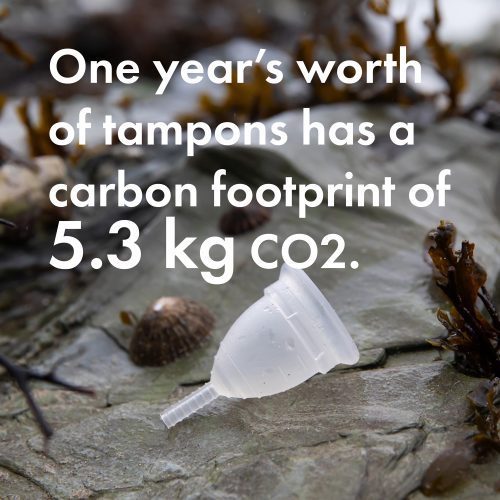 One year's worth of tampons has a carbon footprint of 5.3kg CO2