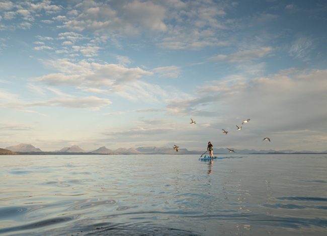 Cal Major encountered numerous wildlife species on her SUP trip around Scotland