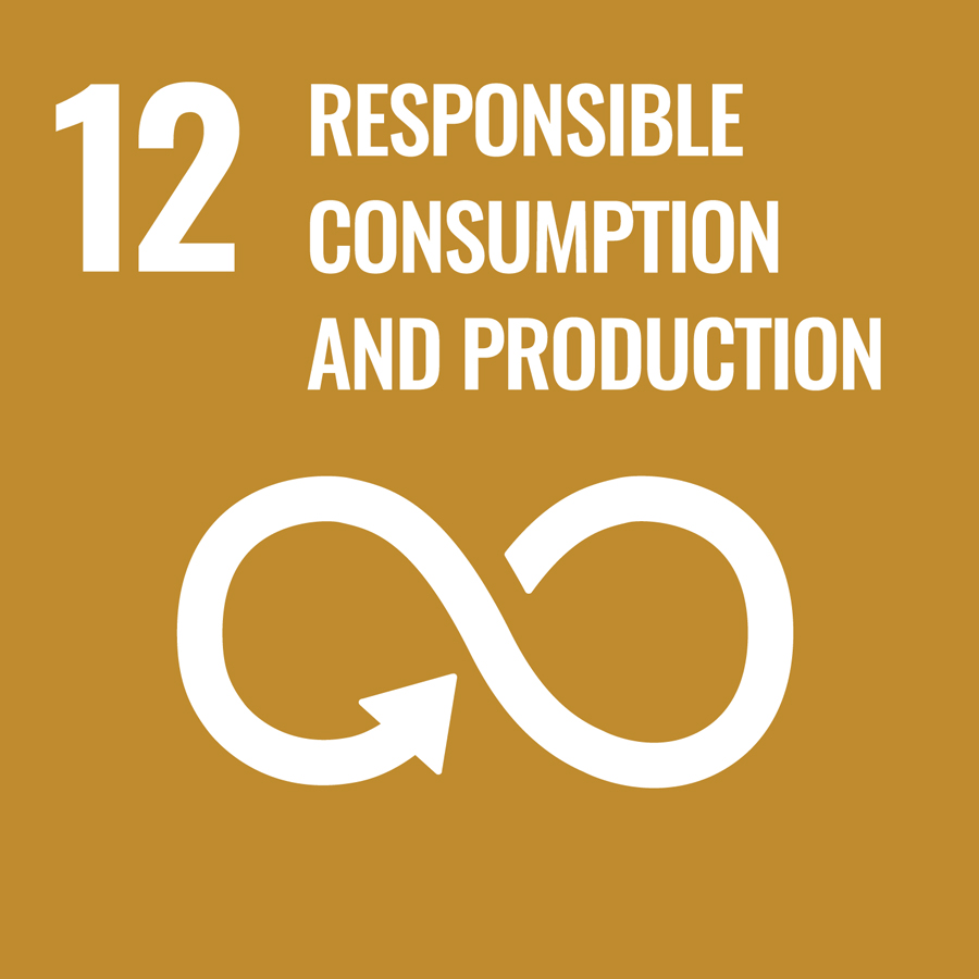 UN SDG12